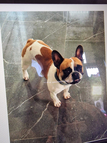 Statuetta personalizzata per animali domestici stampata in 3D