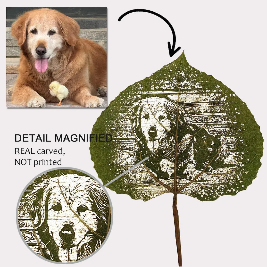 Intaglio personalizzato di foglie di pioppo